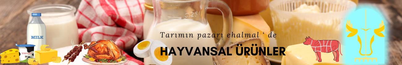 Hayvansal Ürünler