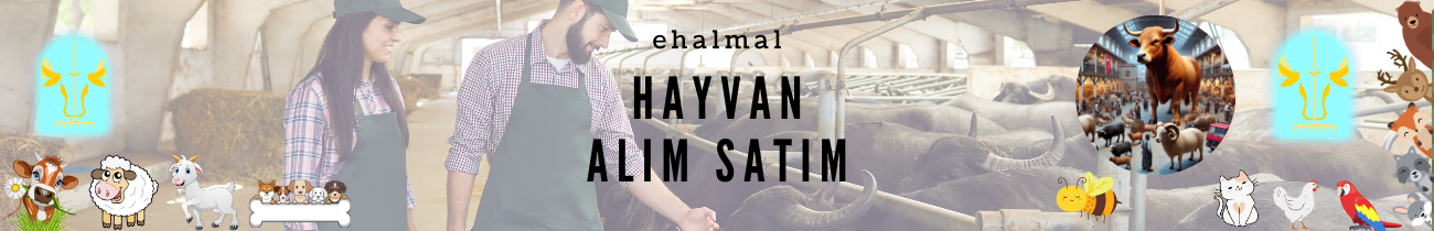 Hayvan Alım Satım