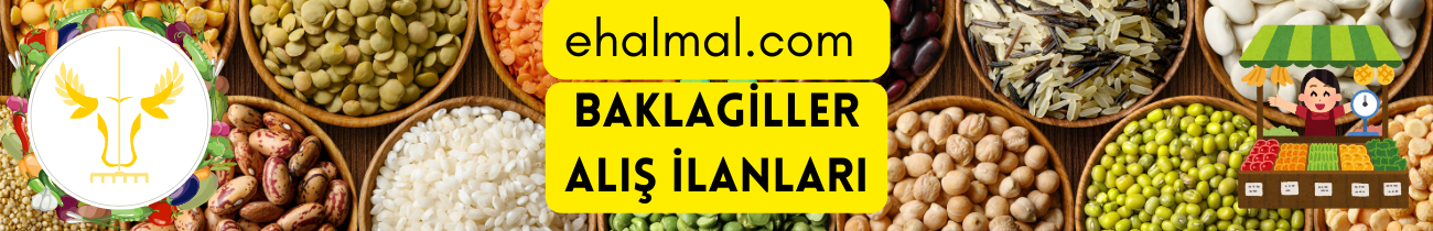 Baklagiller Alış İlanları