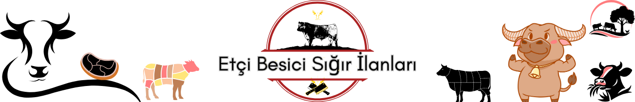 Etçi Besici Sığır Irkları