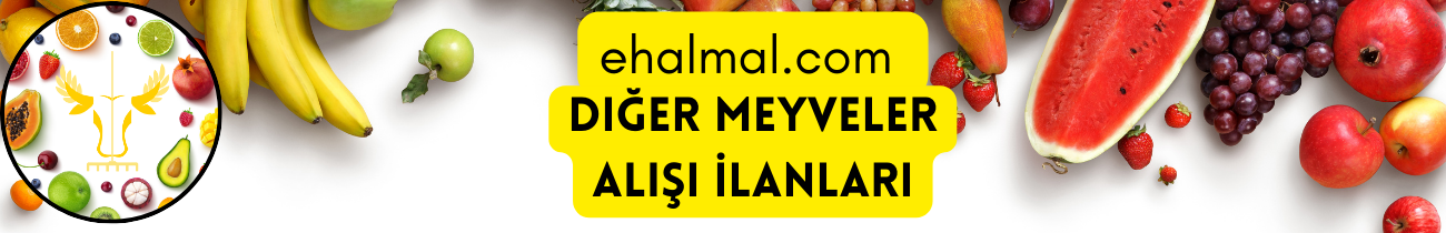 Diğer Meyveler Alış İlanları