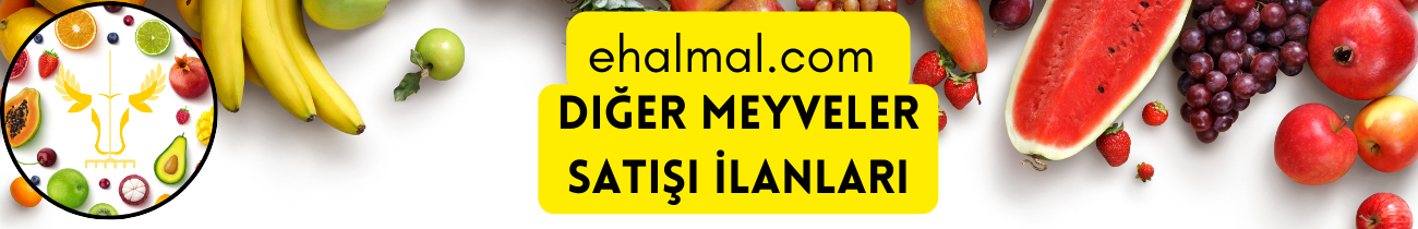 Diğer Meyveler Satış İlanları