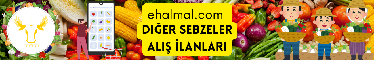 Diğer Sebzeler Alış İlanları