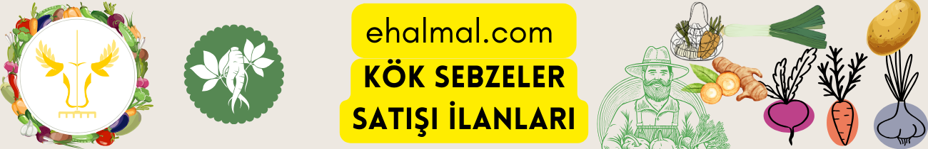 Kök Sebzeler Satış İlanları