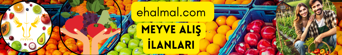 Meyve Alış İlanları