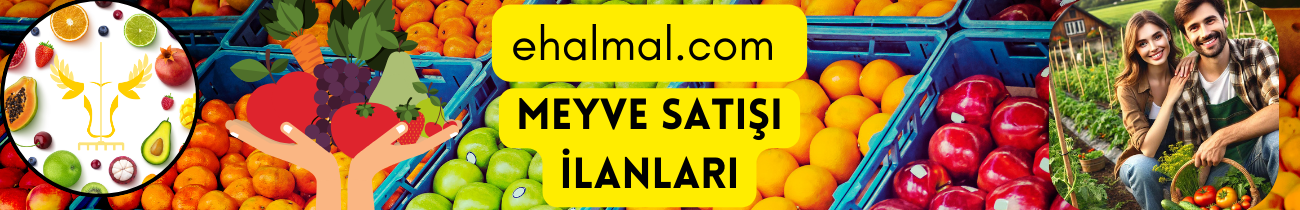 Meyve Satış İlanları