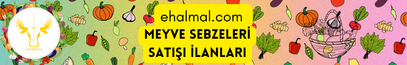 Meyve Sebzeleri Satış İlanları