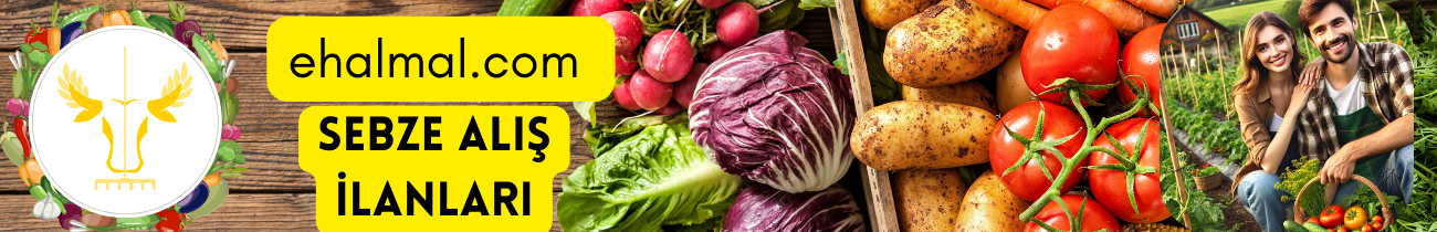 Sebze Alış İlanları