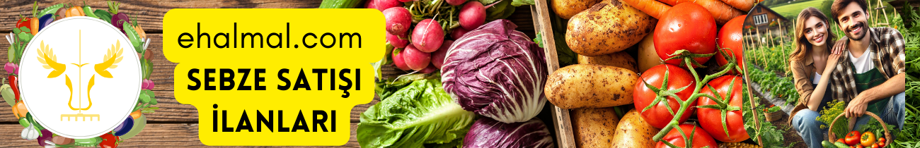 Sebze Satış İlanları