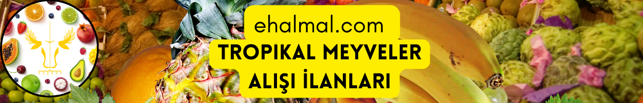 Tropikal Meyveler Alış İlanları