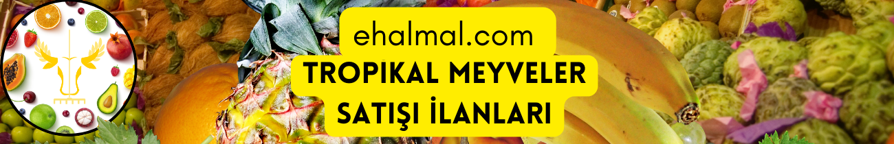 Tropikal Meyveler Satış İlanları