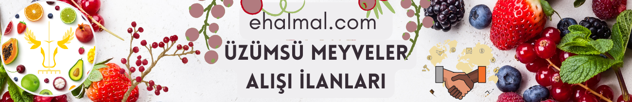 Üzümsü Meyveler Alış İlanları