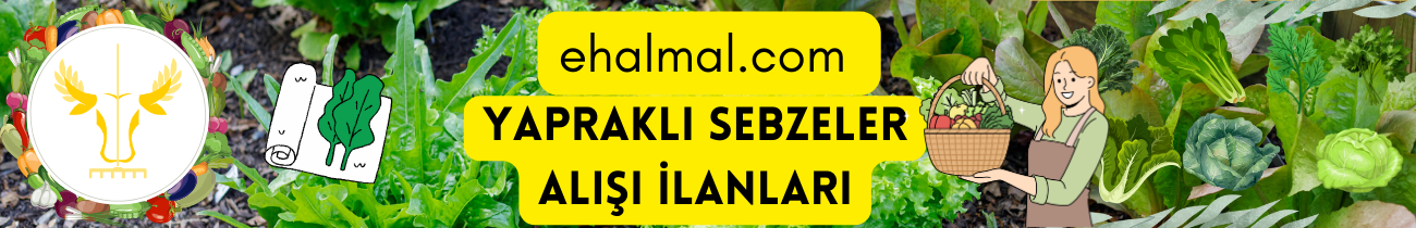 Yapraklı Sebzeler Alış İlanları