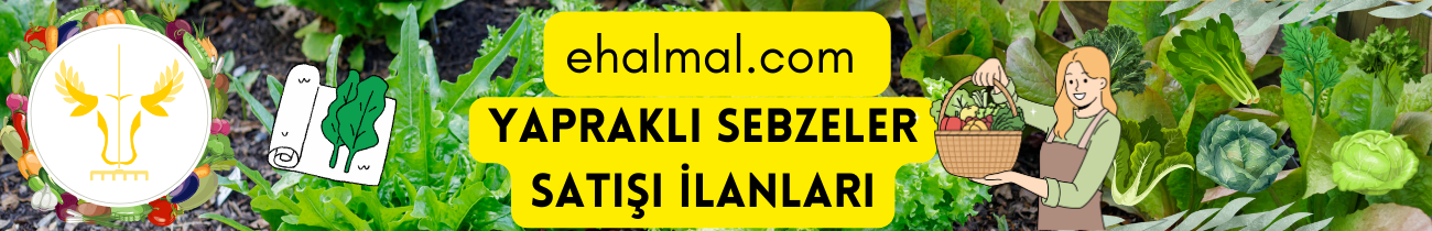 Yapraklı Sebzeler Satış İlanları